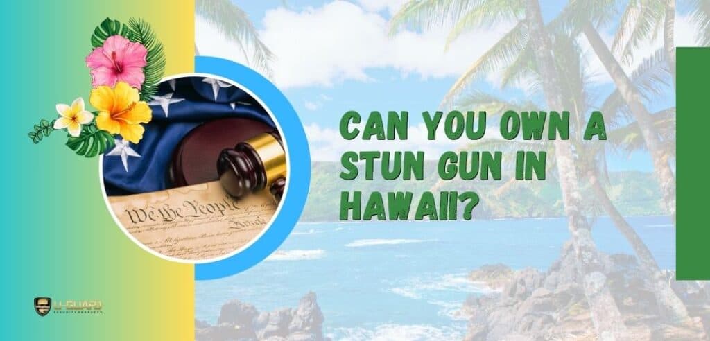 Can You Own A Stun Gun In Hawaii