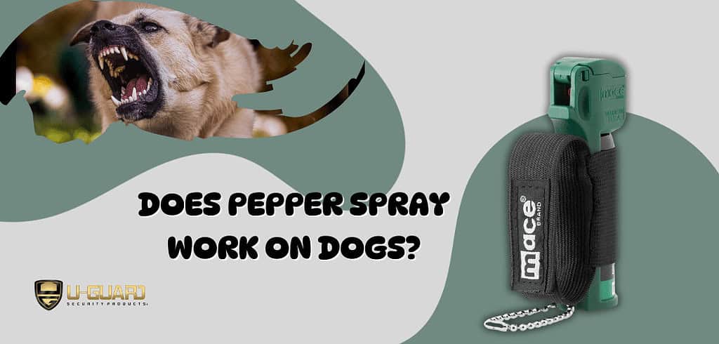 Does pepper spray work on dogs? Article page hero banner that is olive green and great with a image of an aggressive dog and a image of MACE dog pepper spray canister.
